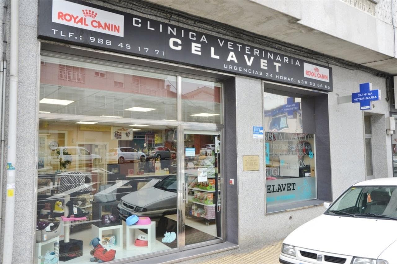 Celavet en Celanova